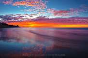 Peter Shinyeda Photography (2)